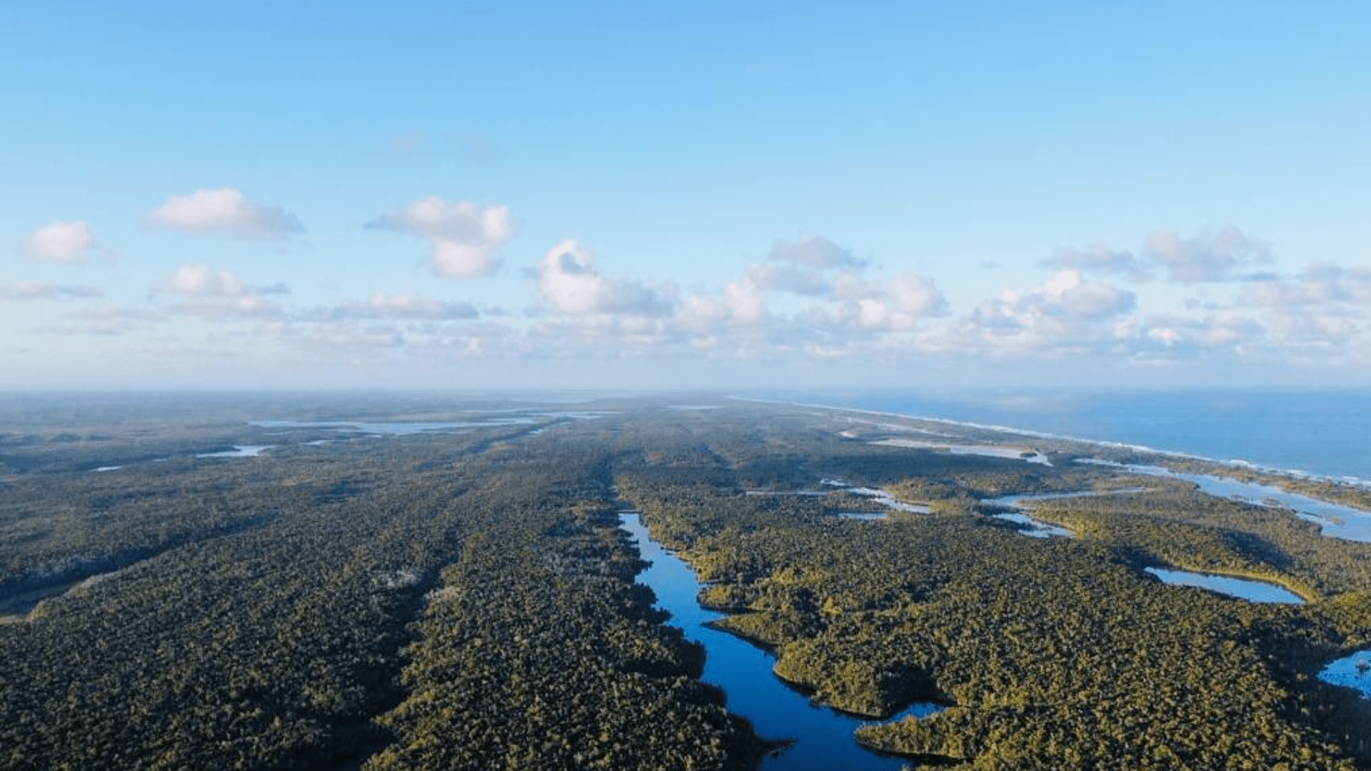 Protection environnementale